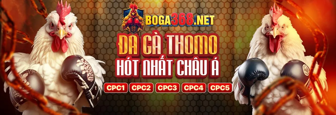 Hệ thống giao dịch nhanh chóng và đa dạng