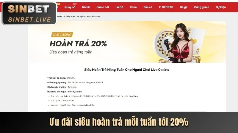 Hoàn Trả Cao Hàng Tuần